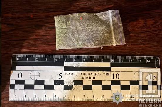 В кишені наркотики, вдома - граната: в Інгулецькому районі затримали наркодилера1