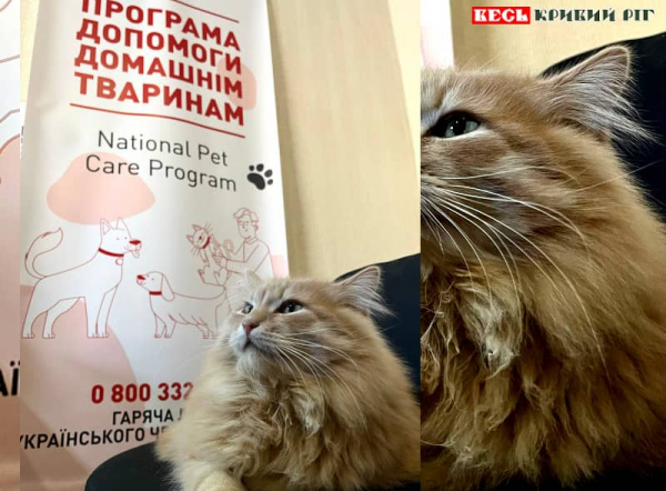 Видача кормів для тварин розпочалась в Криворізькому Червоному Хресті