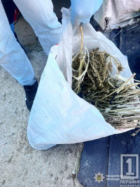 Запаси на всі випадки життя: у Нікополі поліція вилучила у чоловіка мішки коноплі5