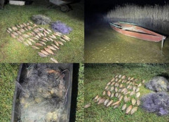 100 тисяч грн збитків за 8,8 кг риби: на Дніпропетровщині виявили рибалку-браконьєра