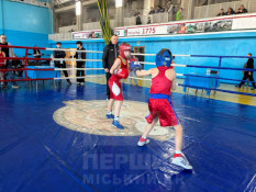 Юні боксери Кривого Рогу вражали на Кубку Саксаганського району6