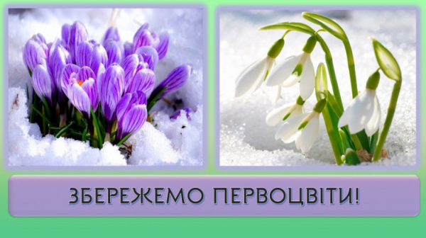 Первоцвіти під охороною - фото ілюстративне з відкритих джерел