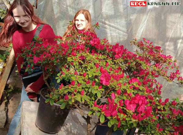 Учні гімназії №111 в оранжереях ботсаду в Кривому Розі