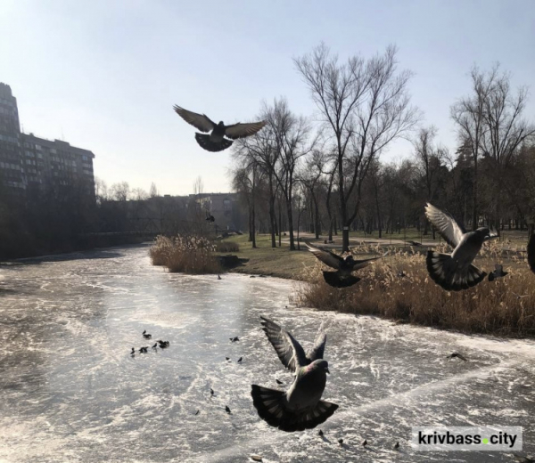 Криворізький вікенд: як провести весняні вихідні 7 та 8 березня 