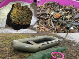 На Криворіжжі чоловік незаконно виловив 215 раків