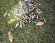 На Криворіжжі затримали браконьєрів, які завдали збитків рибному господарству на 190 тисяч гривень