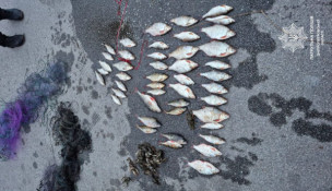 Наловили риби майже на 145 тисяч гривень збитків: на Дніпропетровщині викрили браконьєрів