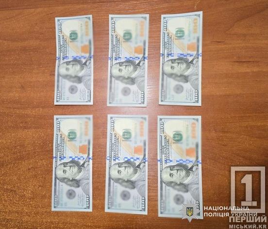 Напад на ветерана у Нікополі та серійні крадіжки у Самарі: поліція затримала зухвалих грабіжників