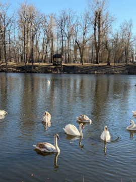 Обстріли Криворізького району: двоє поранених, у місті ситуація стабільна