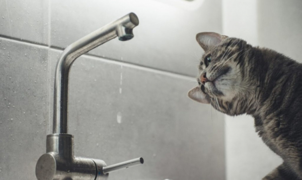 Вода - фото ілюстративне з відкритих джерел