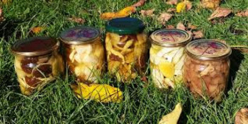 У Кривому Розі чоловік отруївся консервованими грибами0