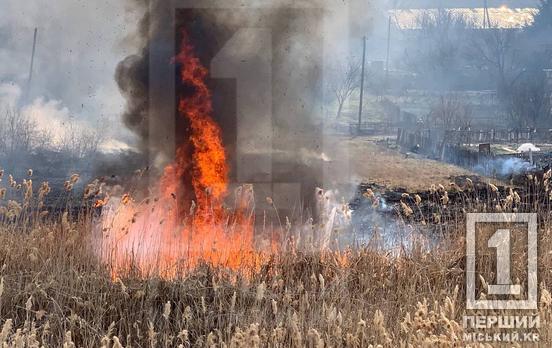 У Кривому Розі невідомі підпалили очерет: вогонь охопив два гектари