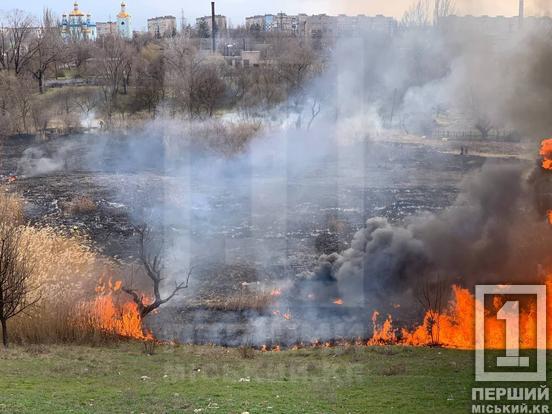 У Кривому Розі невідомі підпалили очерет: вогонь охопив два гектари