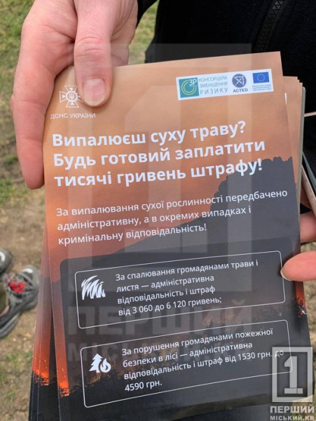 У Кривому Розі невідомі підпалили очерет: вогонь охопив два гектари