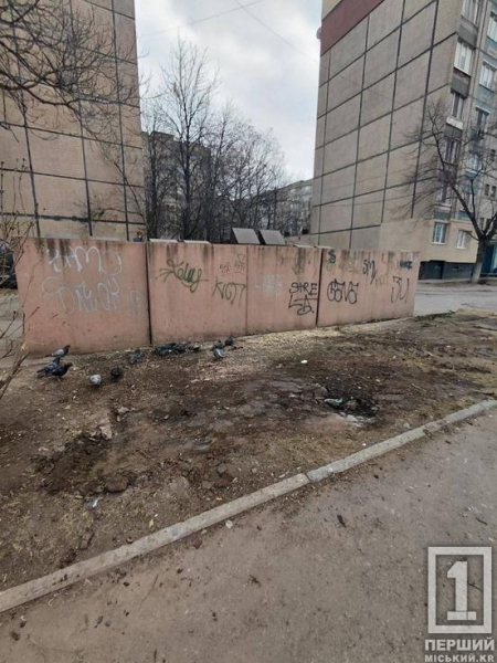 У Саксаганському районі ліквідували чергове стихійне звалище біля багатоповерхівки