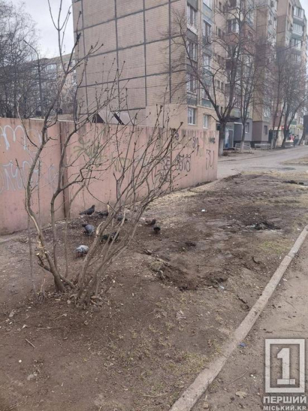 У Саксаганському районі ліквідували чергове стихійне звалище біля багатоповерхівки