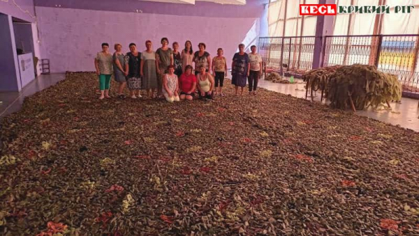 Маскувальні сітки плетуть волонтерки в Широкому Криворізького р-ну