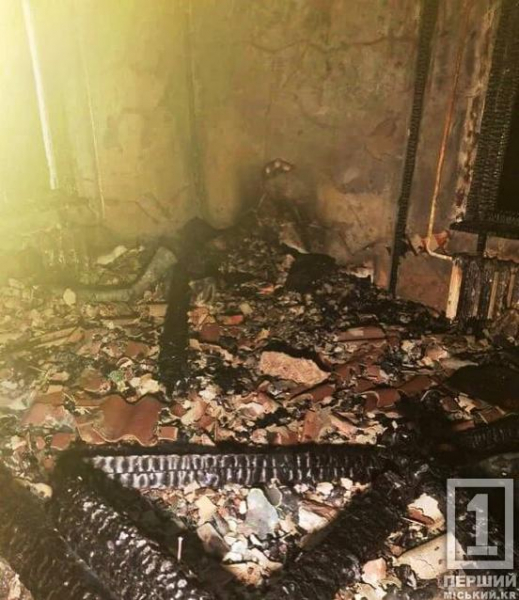 Від оселі залишилися обвуглені стіни: у Кривому Розі надзвичайники вивели з пожежі дитину та дорослого3