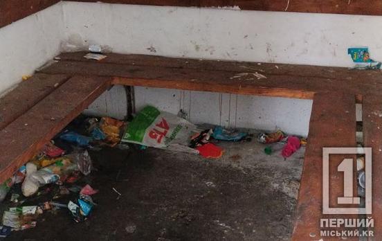 Від сховищ до звалищ: у Кривому Розі благають схаменутися тих, хто нівечить місто