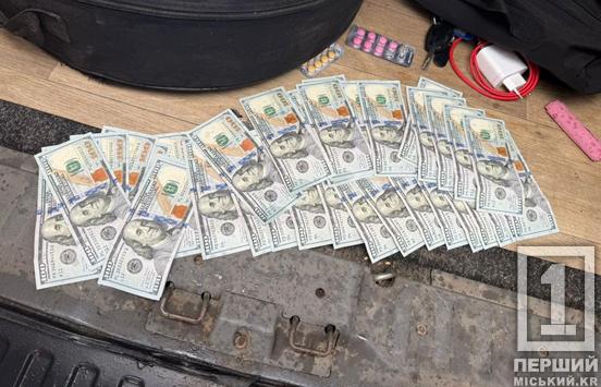 Запропонував 4 тис доларів і опинився в кайданках: жителя Дніпропетровщини затримали на спробі підкупу прикордонника1