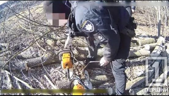 Збували ліс на Дніпропетровщині: викрили «чорних лісорубів»