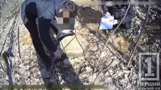 Збували ліс на Дніпропетровщині: викрили «чорних лісорубів»