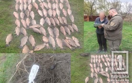 110 тисяч гривень за 70 карасів: на Інгульці впіймали браконьєра з сіткою
