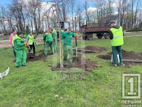 Більше затінку та яскравих барв: сквер біля шахти «Криворізька» озеленили новими деревами