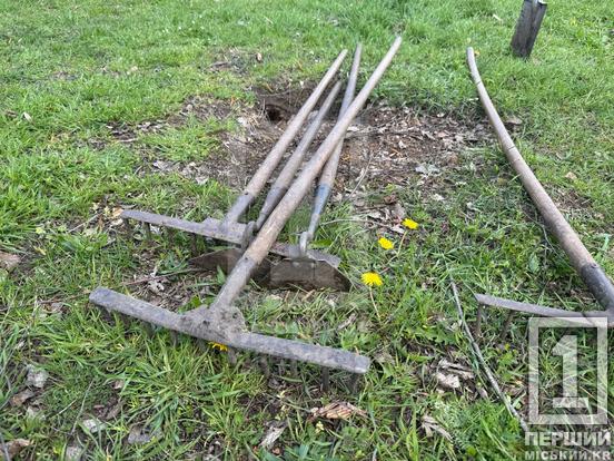 Більше затінку та яскравих барв: сквер біля шахти «Криворізька» озеленили новими деревами