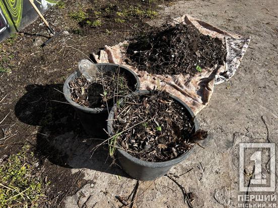 Чисті береги й узбіччя: працівники «АрселорМіттал» та молодь чепурили Кривий Ріг