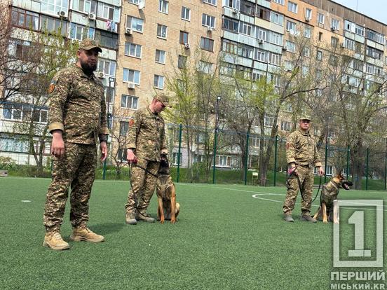 Чотирилапі захисники в гостях у школярів: у Кривому Розі нацгвардійці провели «Урок мужності»