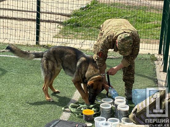 Чотирилапі захисники в гостях у школярів: у Кривому Розі нацгвардійці провели «Урок мужності»