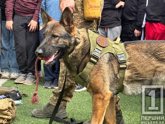 Чотирилапі захисники в гостях у школярів: у Кривому Розі нацгвардійці провели «Урок мужності»