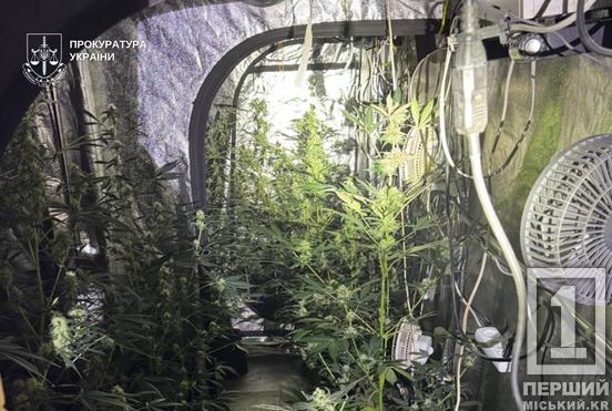 Ціла нарколабораторія у житловому будинку: на Дніпропетровщині затримали ділків, які налагодили постачання «травички»