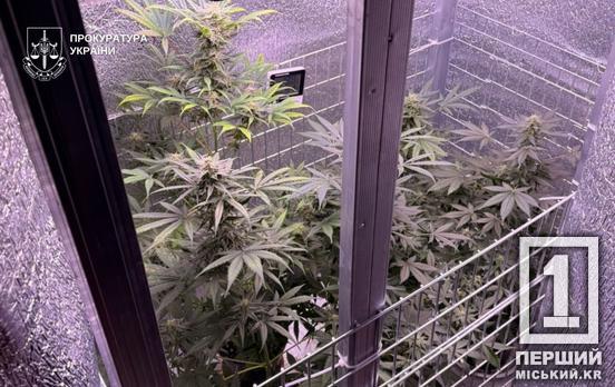 Ціла нарколабораторія у житловому будинку: на Дніпропетровщині затримали ділків, які налагодили постачання «травички»