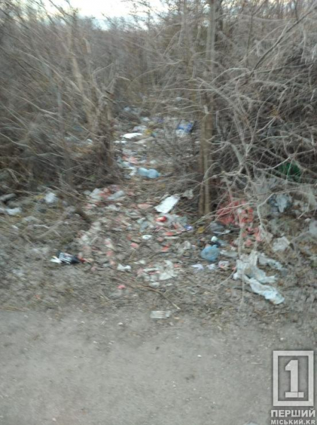 Дорога звузилася на півтора метра через мотлох: на Магістральній ліквідували величезне звалище