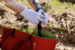 Кілька тисяч дерев висадили на Дніпропетровщині в пам’ять про загиблих оборонців