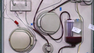 Криворізькій станції переливання крові терміново потрібна 4-та позитивна група крові