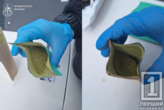 Мала велику партію забороненого «чаю»: у Львові затримали 27-річну криворіжанку