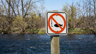 На Дніпропетровщині триває нерестова заборона: де категорично не можна рибалити та які штрафи чекають на порушників