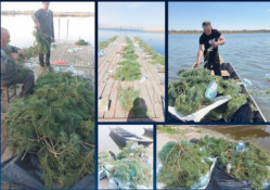 На Дніпропетровщині встановили тисячу штучних нерестовищ для риби