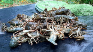 На Криворіжжі затримали браконьєра, який незаконно ловив раків і завдав збитків рибному господарству на 1 млн гривень