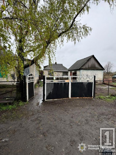 Напився до чортиків і кидав гранати: на Дніпропетровщині чоловік влаштував вибух та поранив правоохоронців