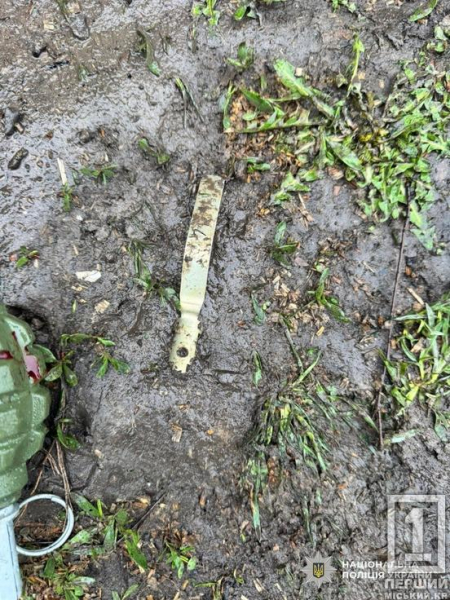 Напився до чортиків і кидав гранати: на Дніпропетровщині чоловік влаштував вибух та поранив правоохоронців