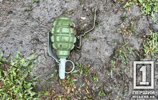 Напився до чортиків і кидав гранати: на Дніпропетровщині чоловік влаштував вибух та поранив правоохоронців