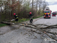 Негода розбушувалась: є загиблі, населенні пункти без світла, тролейбуси стоять