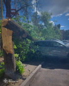 Негода розбушувалась: є загиблі, населенні пункти без світла, тролейбуси стоять