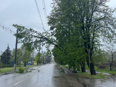 Негода розбушувалась: є загиблі, населенні пункти без світла, тролейбуси стоять
