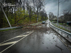 Негода розбушувалась: є загиблі, населенні пункти без світла, тролейбуси стоять