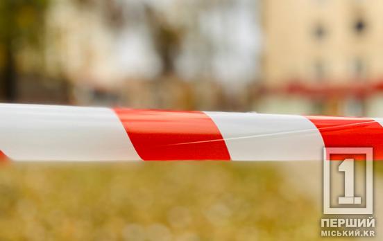 Окупанти вчинили черговий наліт «шахедами» на Кривий Ріг: є влучання в інфраструктуру